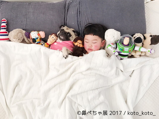 鼻ぺちゃ展 2017