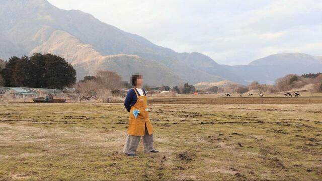 【ワークマン コットンキャンパーエプロン】思わずテンションも上がってしまう可愛さ