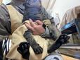 【ニトリ 猫用爪切りお助けエプロン（ベージュ）】エプロンに入ったゴン