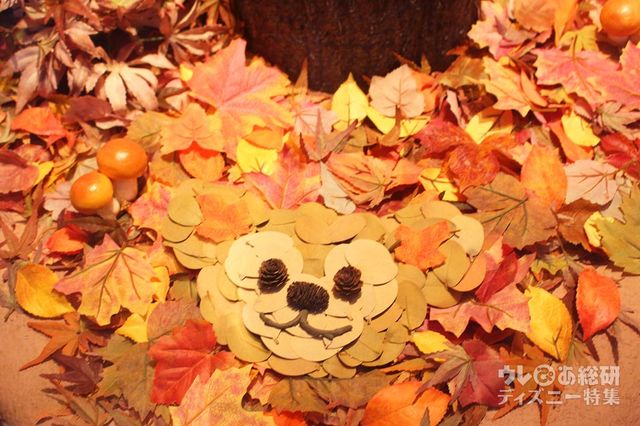 「マクダックス・デパートメントストア」ウィンドウ