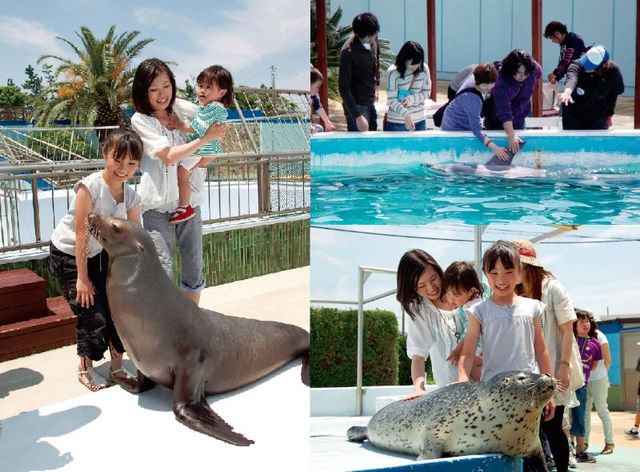 ふれあいカーニバル｜南知多ビーチランド