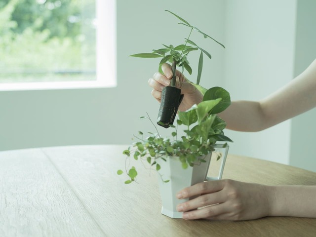 ＆Greenはアレンジも自在