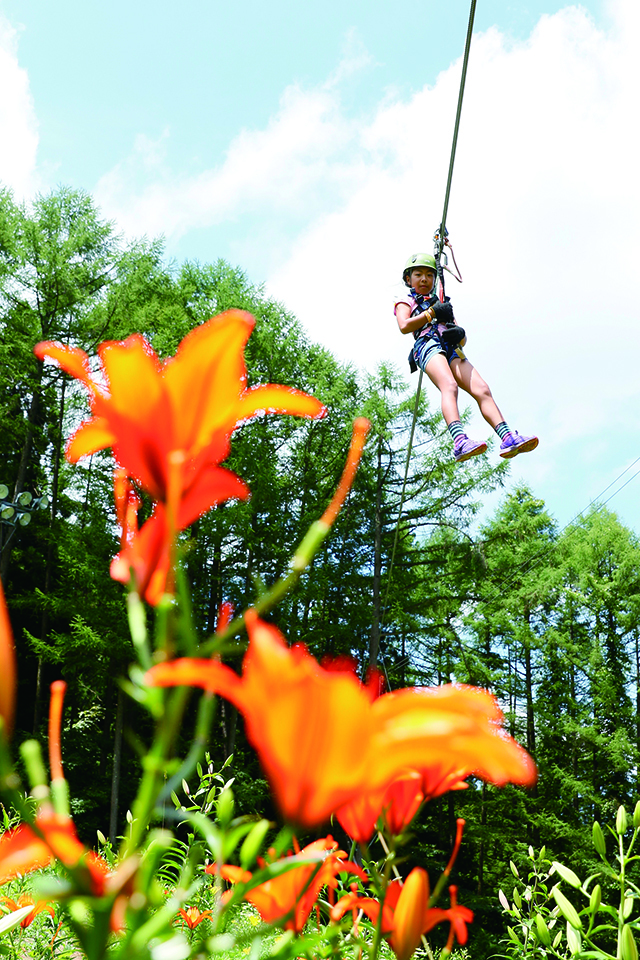 タングラム斑尾 ターザンジップスライダー