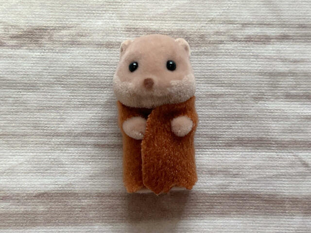 筆者が子供の頃にはいなかったカワウソの赤ちゃんです。かわいい〜！