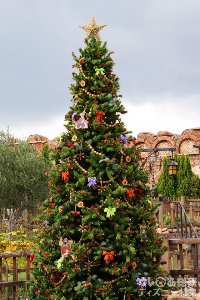 ディズニーシーのクリスマスツリー