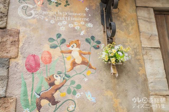 パペリーノ通り