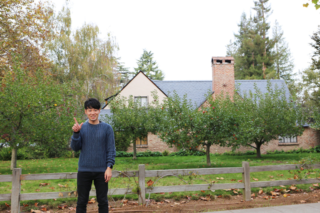 スティーブ・ジョブズの自宅です。ここも観光スポットとなっていて、何分かおきに人が訪れていました。庭にはリンゴの木があります。