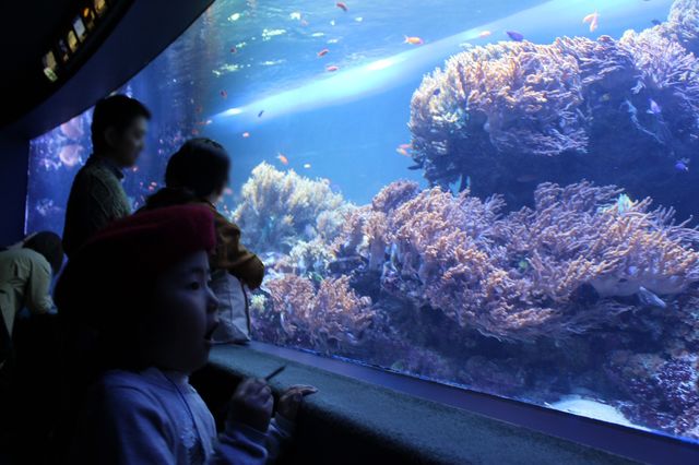 ずっと見ていたくなっちゃいそう！