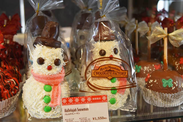 ROCKY MOUNTAIN CHOCOLATE FACTORY