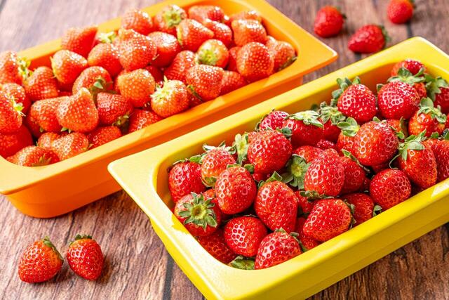 「ブランドいちご食べ比べ」＜期間：2026年3月1日〜4月28日＞【美食が揃う「ストロベリー＆ガストロノミービュッフェ ～Noir et Rose～」で、「黒いちご」や「世界大会優勝シェフの料理」を堪能！】