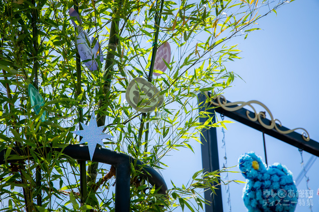 ウィッシングプレイス