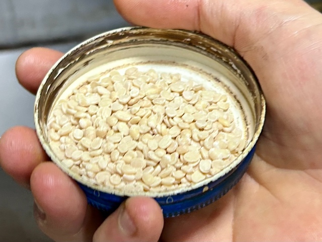 【南インド料理 葉菜hana】インドの豆のウラドダル。「入手できなければ白ゴマを使ってください」