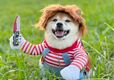 【犬用チャッキーコスチューム】持ち上がった手につければナイフを振り上げているみたいに