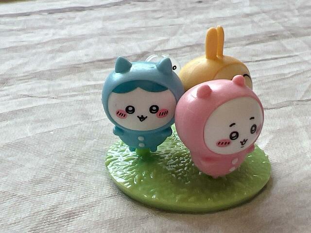 なんだかこのハチワレ、違和感があります…