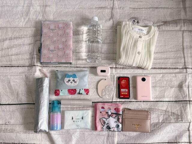 これだけの荷物が仕分けながら収納できちゃいます♪