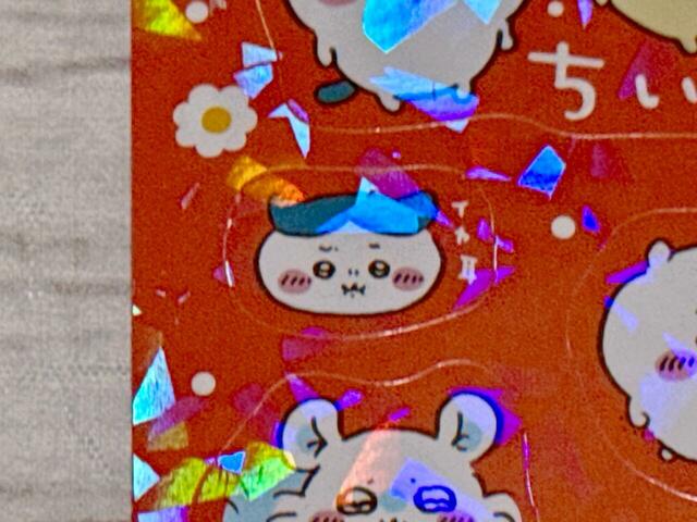 個人的なイチオシはこちら。イヤ耳のハチワレがかわいすぎますね…