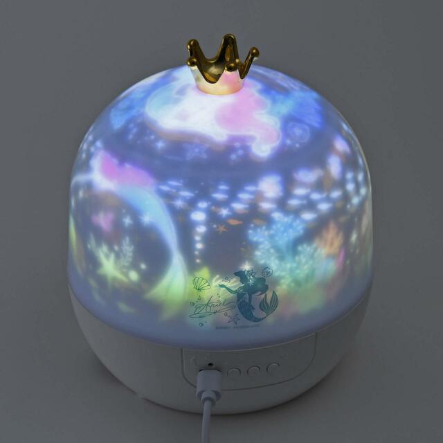 アリエル、フランダー、セバスチャン ルームプロジェクション Feeling Like Ariel 4,950円