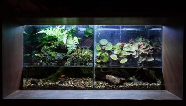 山紫水明エリア