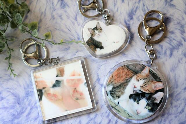 【セリア オリジナルフォトインキーホルダー】3つの形の“うちの子”キーホルダー完成！