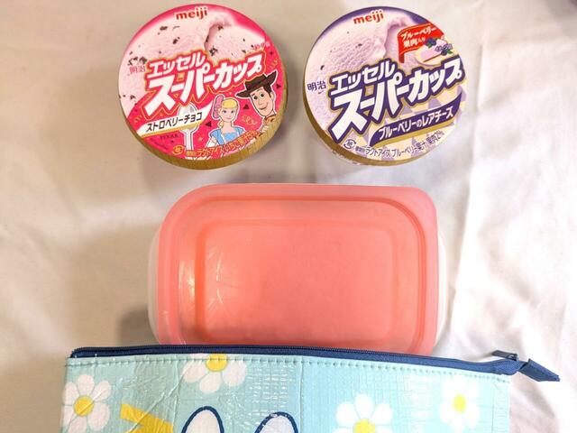 アイスやお弁当も入る