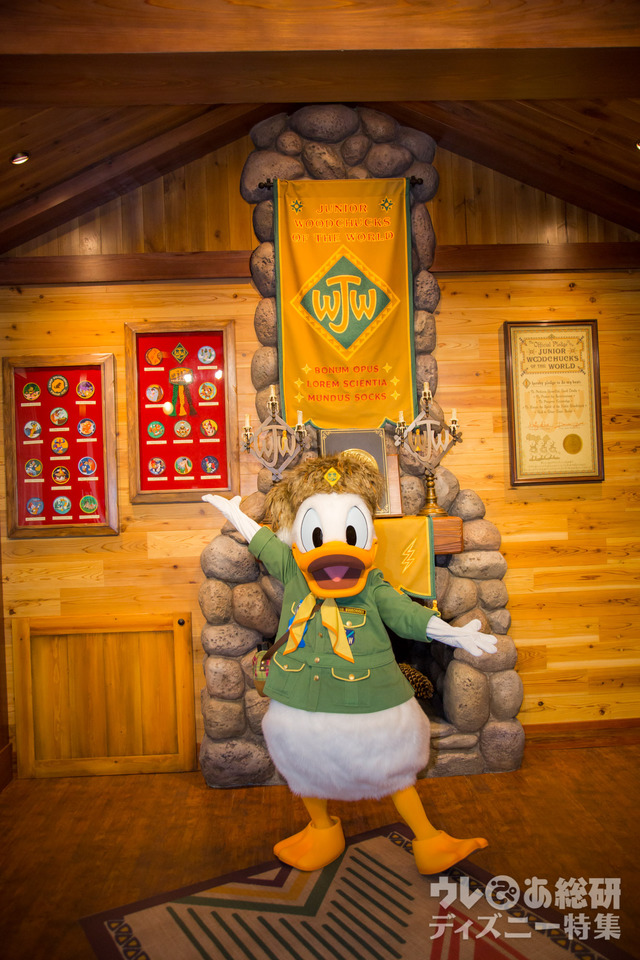 ウッドチャック・グリーティングトレイル｜キャンプ・ウッドチャック｜東京ディズニーランド