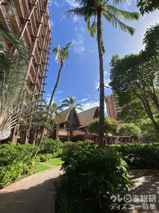 アウラニの風景