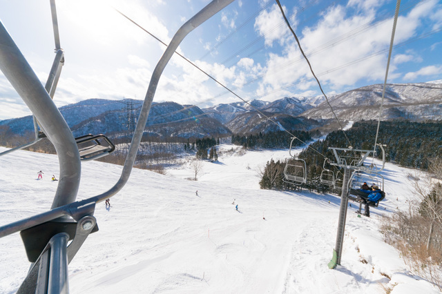 国内屈指のパウダースノー「かぐらスキー場」