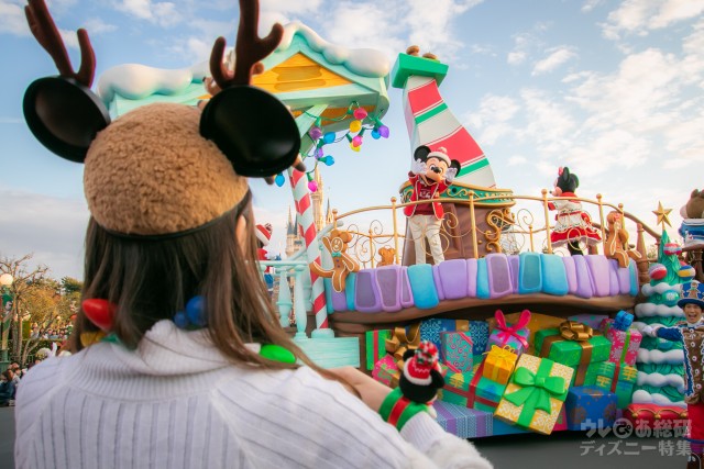 あるディズニーオタクが悟った、グッズを持ってパレード参加する楽しさ