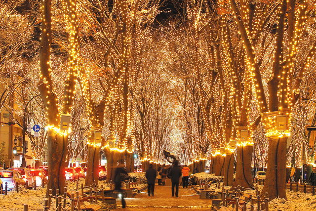 SENDAI 光のページェント