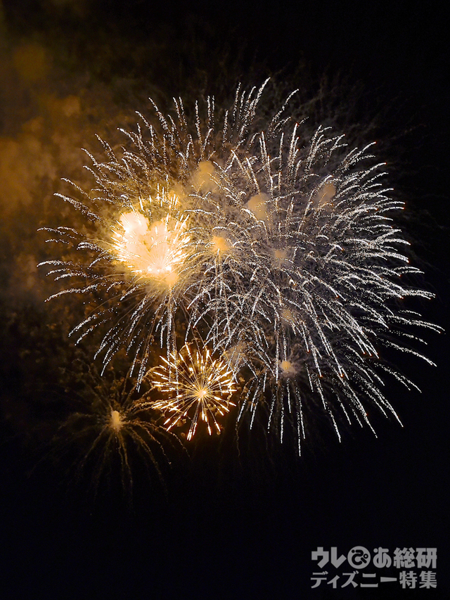 ブランニュードリーム｜東京ディズニーリゾート35周年“Happiest Celebration! ”