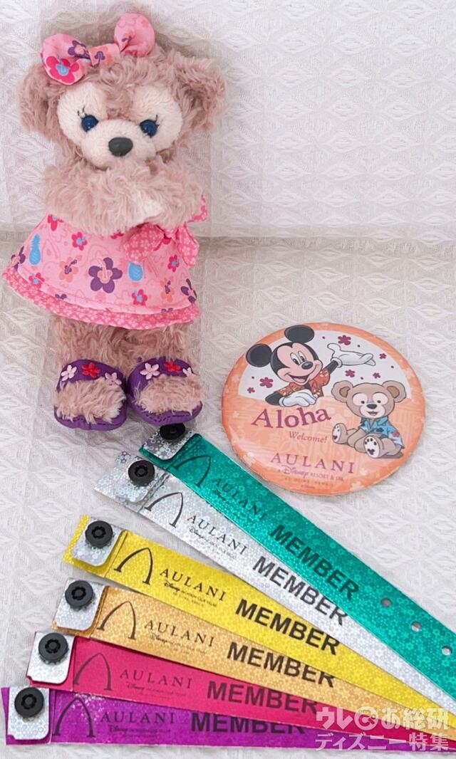 リストバンドとバッジ