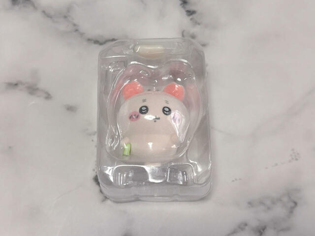 古本屋を開封していきます！