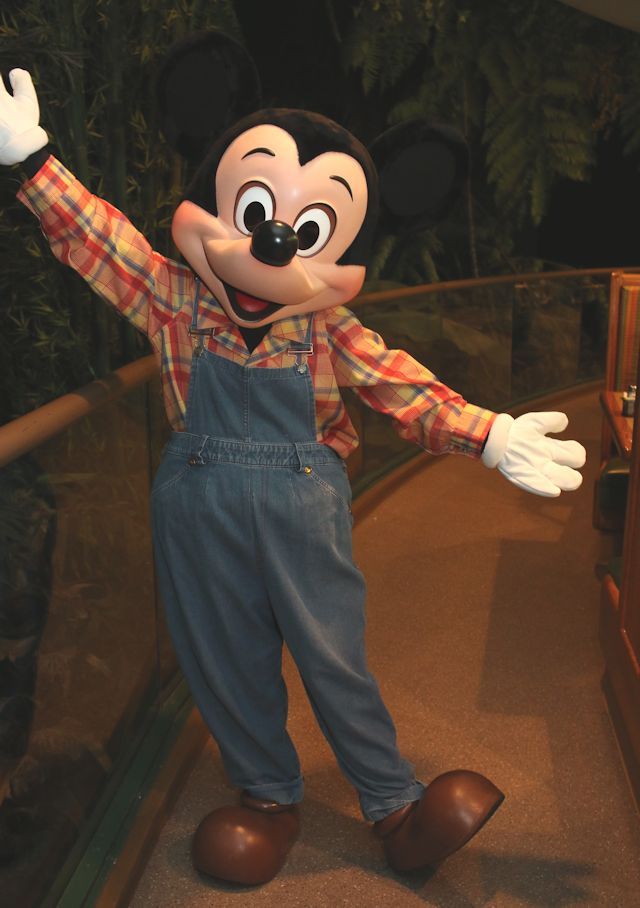 ガーデン・グリル・レストランのミッキー