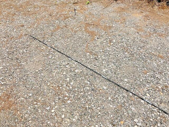 【ワークマン 【WEB限定】BASICドームテント 1人用 （キャノピー110cm）】ポールを組み立てます