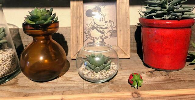 ミッキーマウスデザインの部屋にはミニーの写真が飾られていました