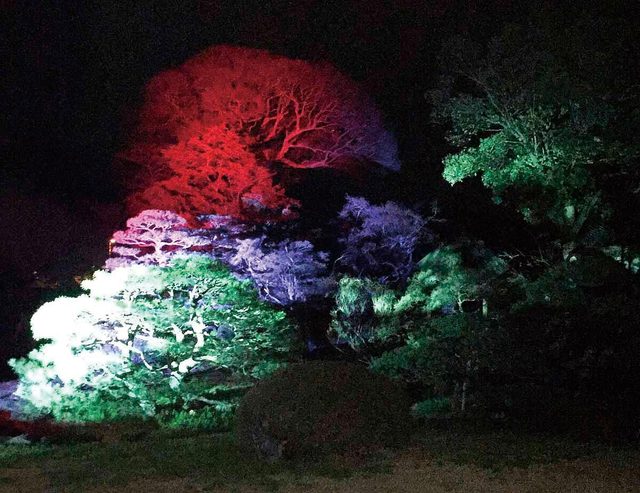 真田邸ライトアップ／全国でも数少ない江戸末期の御殿建築の様式が残る貴重な屋敷