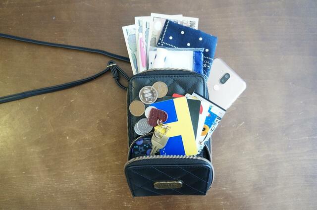 【ANNA SUI COLLECTION BOOK じゃばら式スマホポーチ】お出かけで必要なアイテムが全部入る!