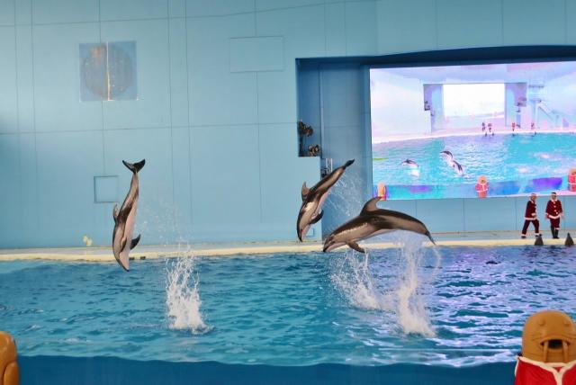 「アクアスタジアム」