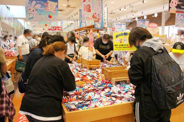 【こんにゃくパーク】ゼリー詰め放題