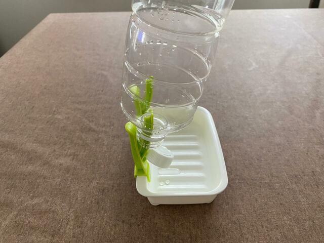 【ダイソー ペットボトル水切り】乾燥開始直後
