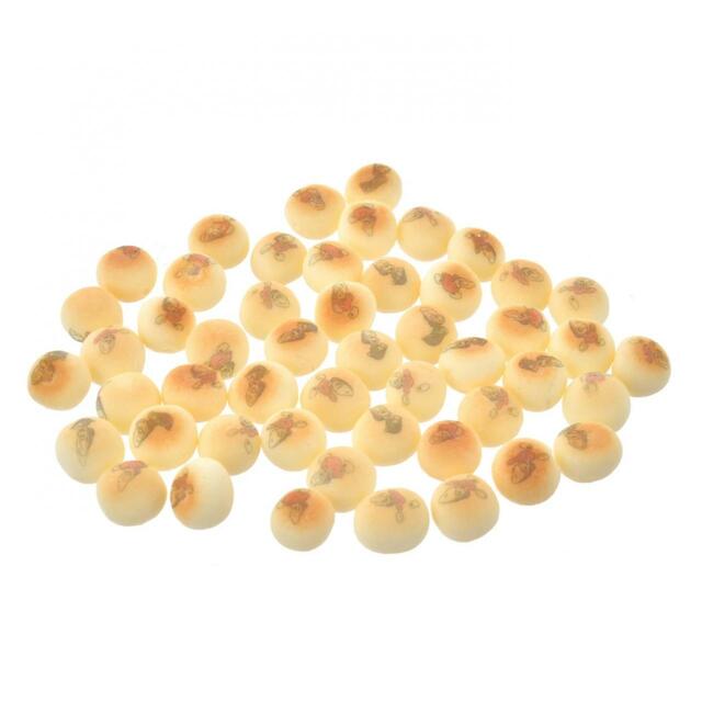 ヤングオイスター ボーロ 缶入り ヤングオイスター 1,296円