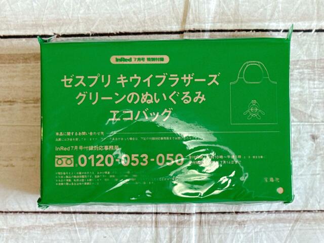 付録は大人気の「ゼスプリ キウイブラザーズ グリーンのぬいぐるみエコバッグ」