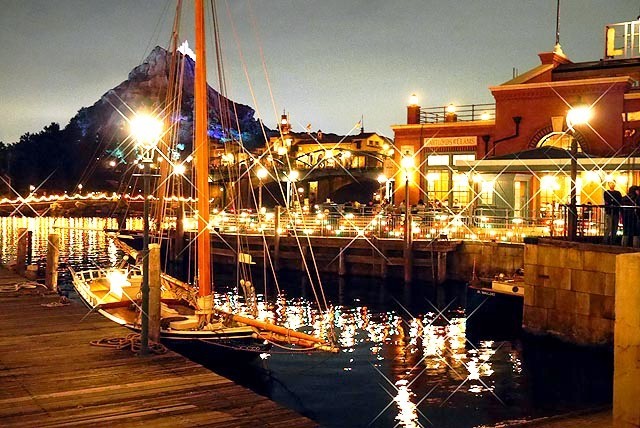 静かに揺れる小舟とイルミネーション。水面に反射する光も一緒にフレームに入れたいですね。©Disney