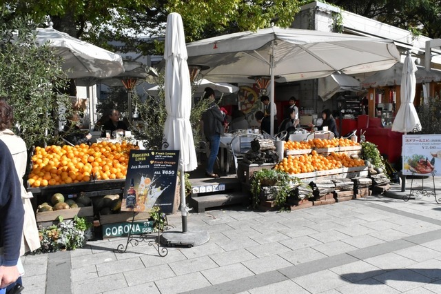 フェリー乗り場前はオシャレなカフェが