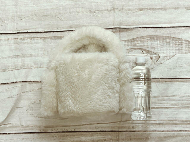 550mlのペットボトルと並べてみました