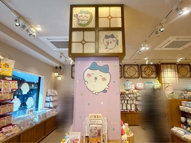 入ってすぐの柱に推しのハチワレが登場。写真を撮影する手が止まりません…！