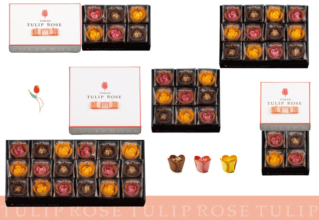 TOKYOチューリップローズ