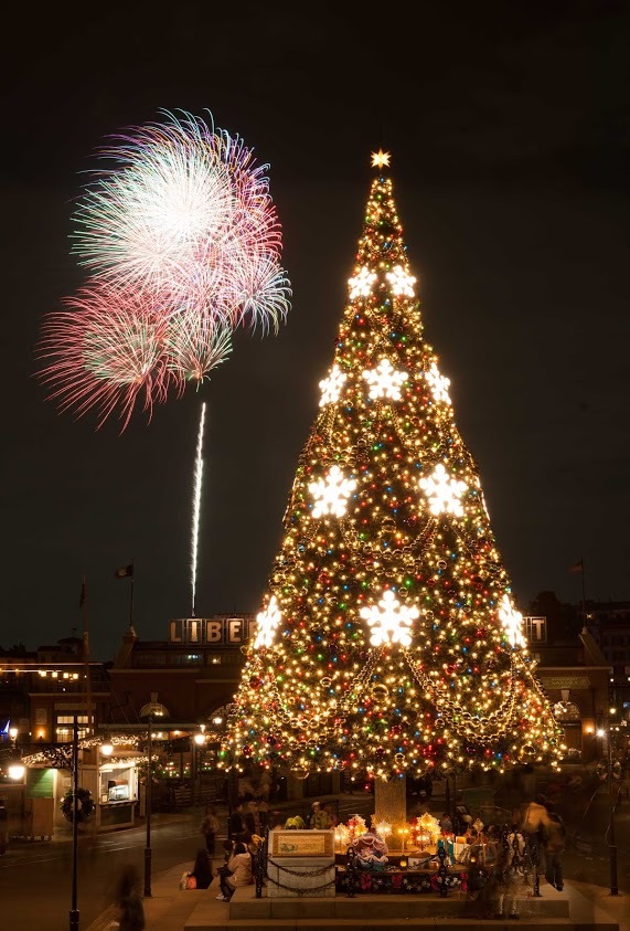 ちょっぴりオトナな楽しみ方をご紹介します。