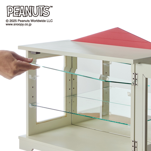 背面ミラーの卓上コレクションケース