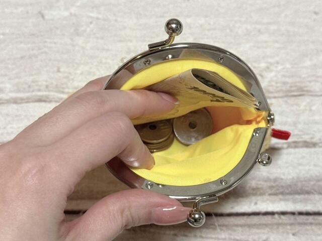 紙幣とコインを入れてみました